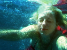 kim collmer