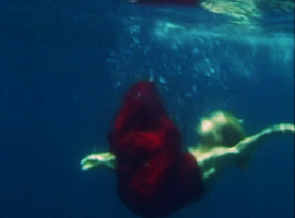 kim collmer
