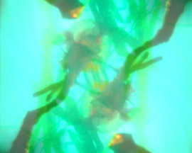 fold still2