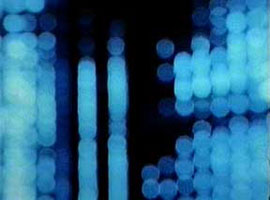 stars of the lid2