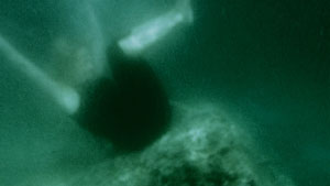 I am the Fall