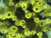 Lichtwelten