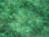 Lichtwelten